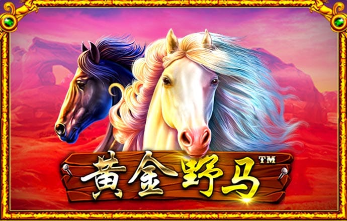 ng体育官网app官网